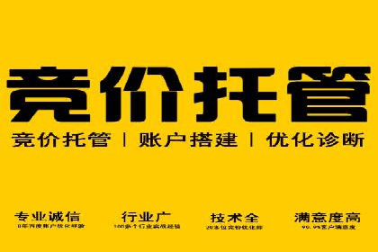 SEM代运营公司助力企业高效推广案例解析